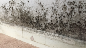 Damp and condensation iHelios Infrared Heating solution